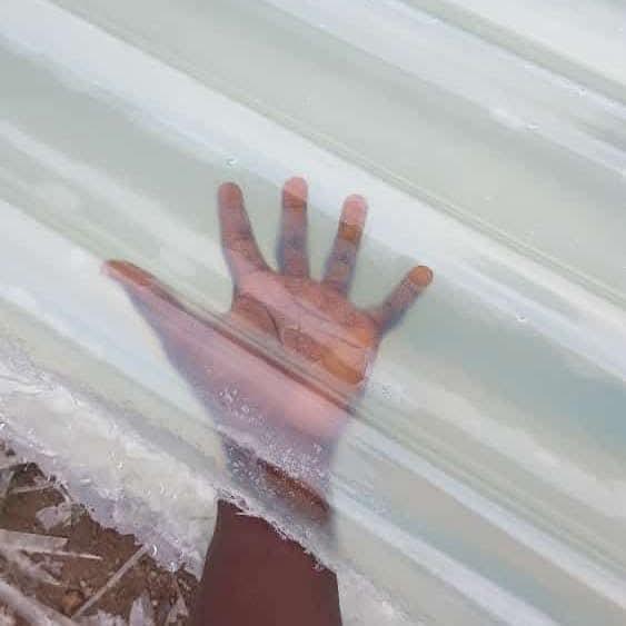 Close-up of a hand pressed against clear fibre glass roofing sheet, showing how transparent the material is